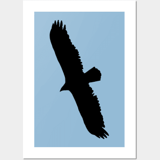 Turkey Vulture Flying Graphic Black Silhouette Posters and Art